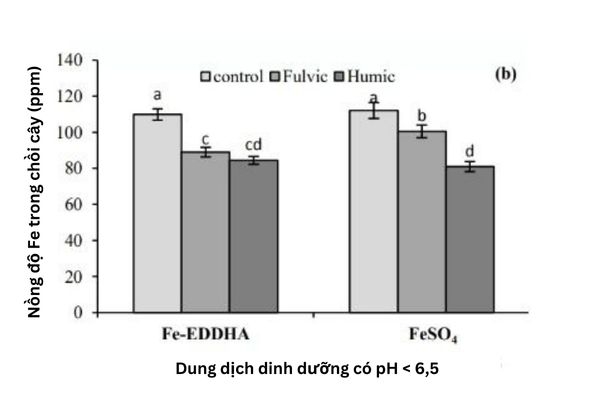 So sánh Chelate tổng hợp và Chelate Axit Fulvic/Axit Humic