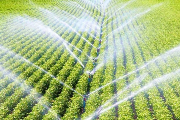 luu y khi thiet ke he thong tuoi cay