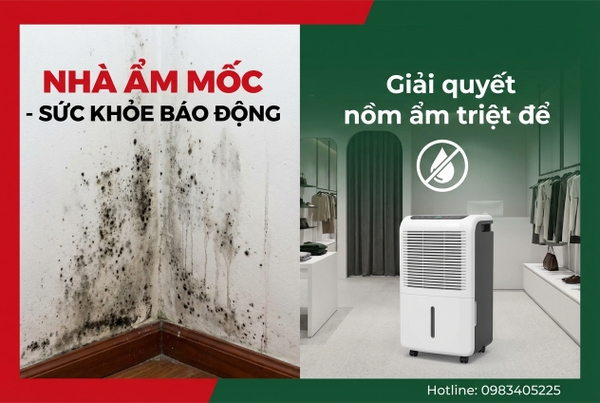 Nhà Ẩm Mốc Gây Bệnh Hô Hấp: Giải Pháp Chống Nồm Hiệu Quả Tại Bắc Giang