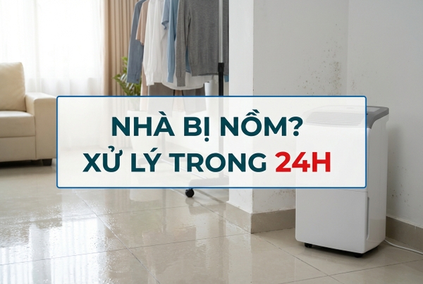 Nhà bị nồm phải làm sao? 7 cách xử lý hiệu quả nhất cho mùa ẩm miền Bắc