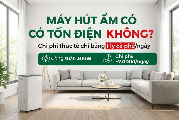 Máy hút ẩm có tốn điện không? Thực tế sử dụng mùa nồm