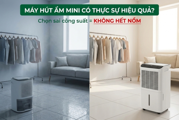 Máy hút ẩm mini có thực sự hiệu quả?