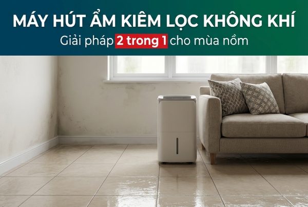 Máy hút ẩm kiêm lọc không khí là gì? Có thực sự cần thiết không?