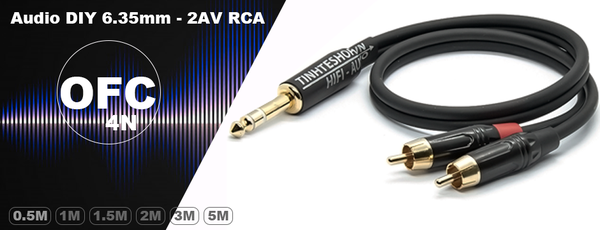 Cáp audio 6.5mm ra 2 AV RCA