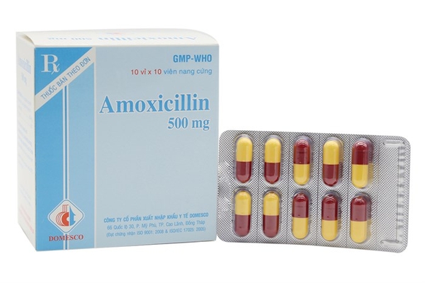 amoxicillin-500-h-100cap-dmc