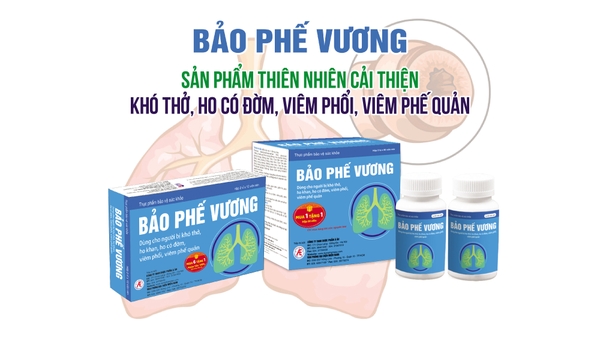 bao-phe-vuong