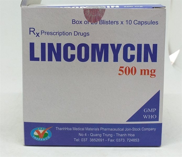 lincomycin-thanh-hoa