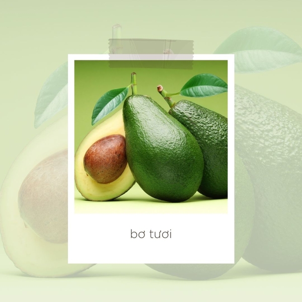 Bơ - Avocado Bơ - Avocado