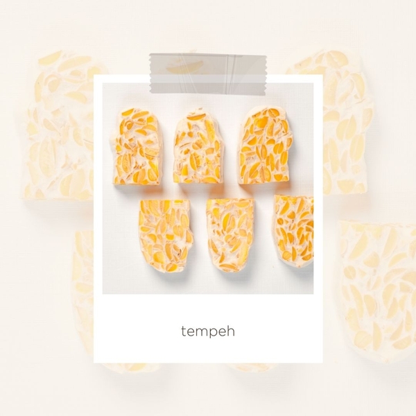 tempeh