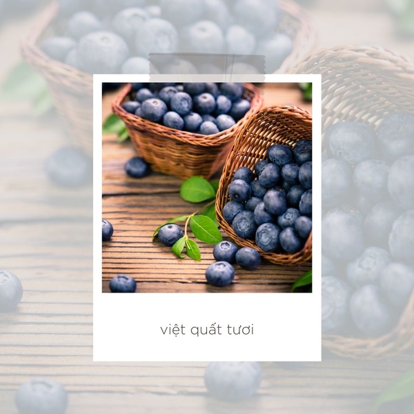 viết quất tươi