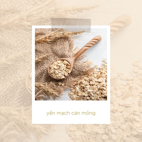 yến mạch cán mỏng