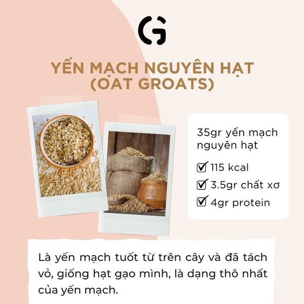 Yến mạch nguyên hạt (Oat Groats)