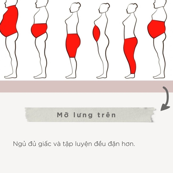 Mỡ lưng trên