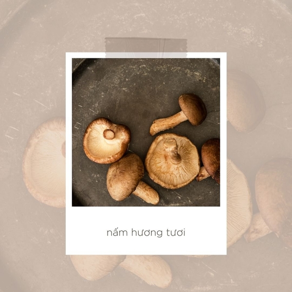 Nấm hương tươi