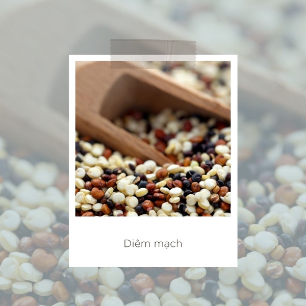 hạt quinoa