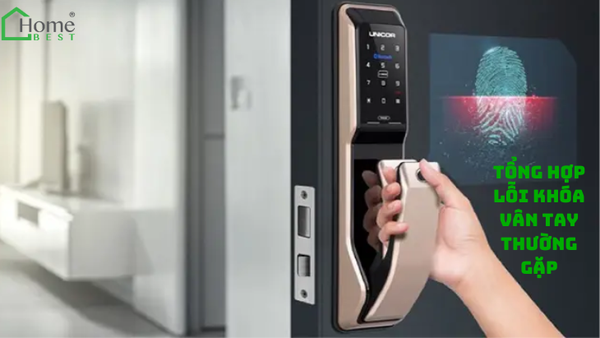 Tổng Hợp Lỗi Khóa Vân Tay Thường Gặp