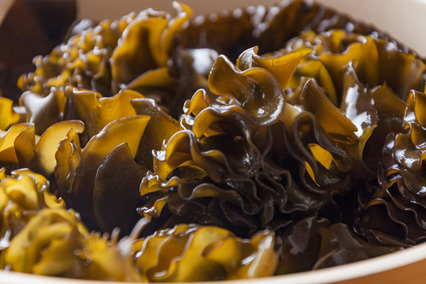 Fucoidan là gì? | Fine Japan Việt Nam