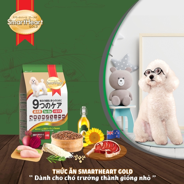 smartheart-gold-lamb-rice-toy-small-breed