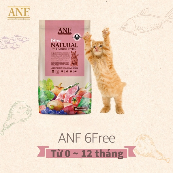 anf-6free-meo-con