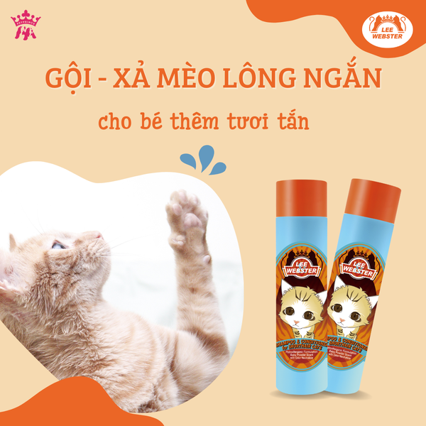 dau-goi-xa-meo-long-ngan-lee-webster-280gr