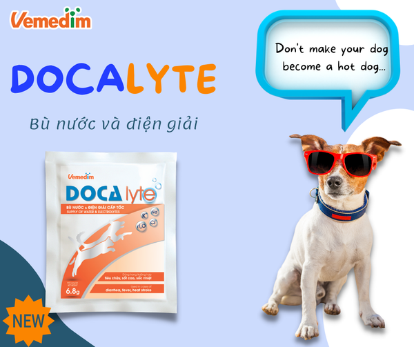 Bột Vemedim Doca lyte 6.8g bù nước, điện giải Meowy Pet Shop
