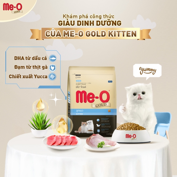 me-o-gold-kitten