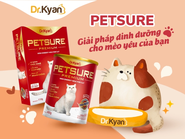 sua-dr-kyan-petsure-premium-meo