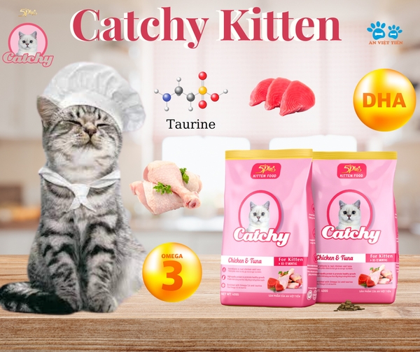 hat-catchy-kitten-cho-meo-con-3-12-thang