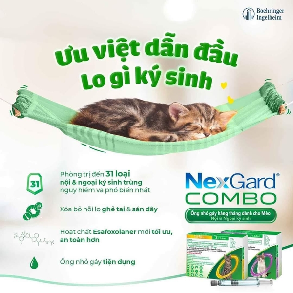nho-gay-nexgard-combo-meo-2-5-7-5kg