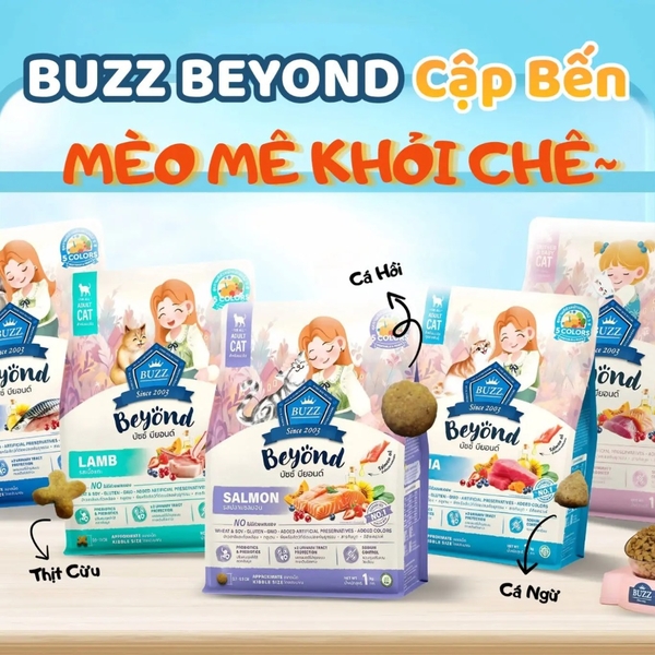 hat-buzz-beyond