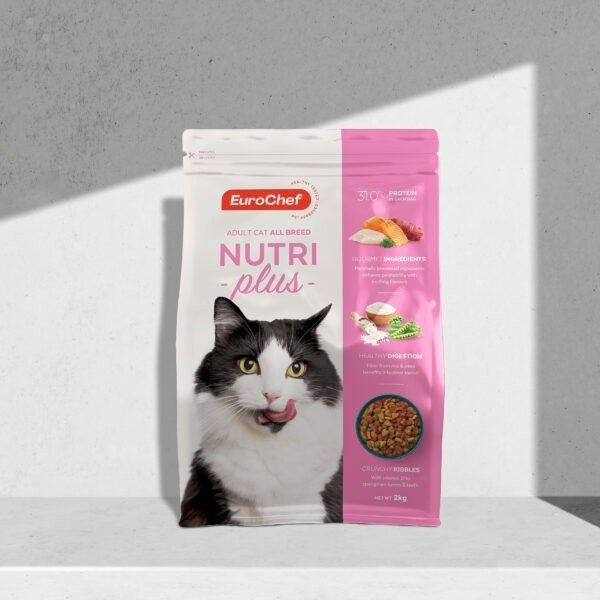 eurochef-adult-cat