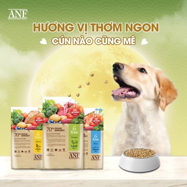 anf-6free-cho-2kg