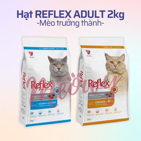 reflex-adult-2kg-cho-meo-truong-thanh