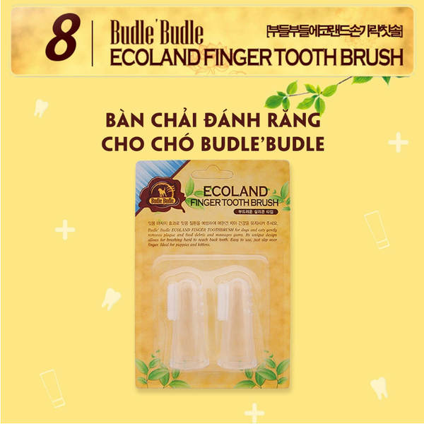 ban-chai-danh-rang-budle-budle-2pcs