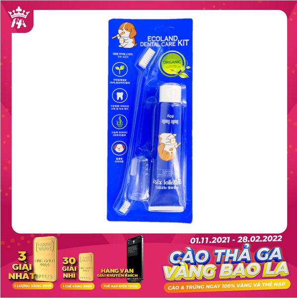 bo-cham-soc-rang-cho-meo-budle-budle