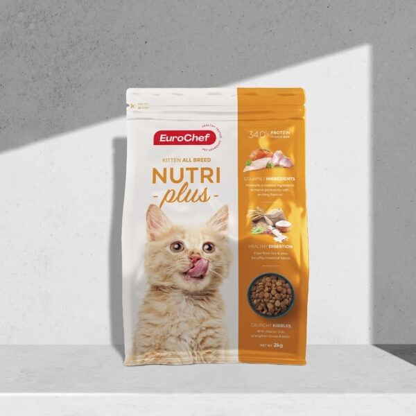 eurochef-kitten