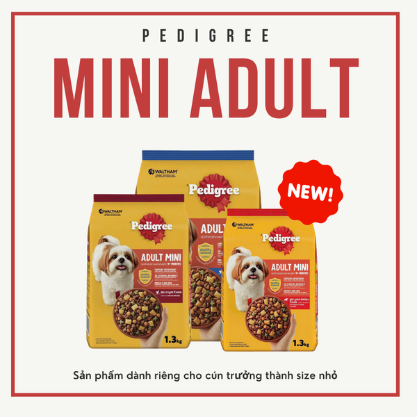 hat-pedigree-adult-mini