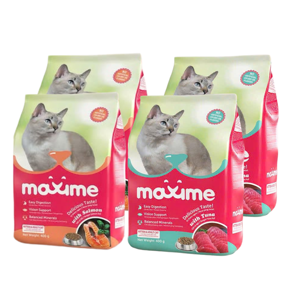 hat-maxime-cho-meo-moi-lua-tuoi