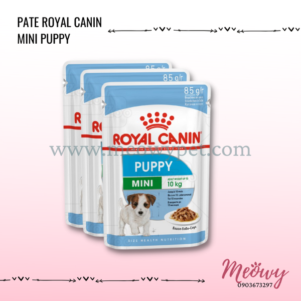 pate-royal-canin-mini-puppy-85gr