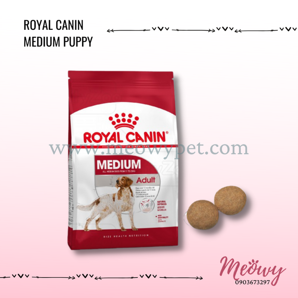 hat-royal-canin-medium-adult-cho-cho-truong-thanh-co-can-nang-11-25kg
