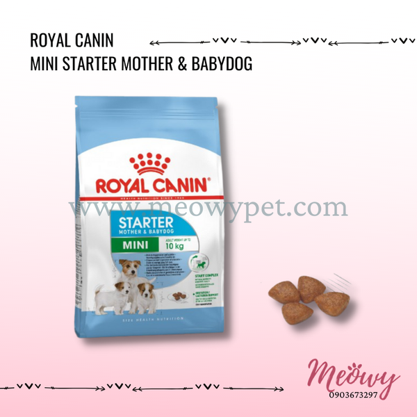 hat-royal-canin-mini-starter-mother-babydog