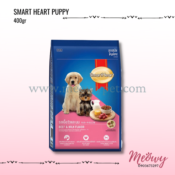 hat-smart-heart-puppy-cho-con