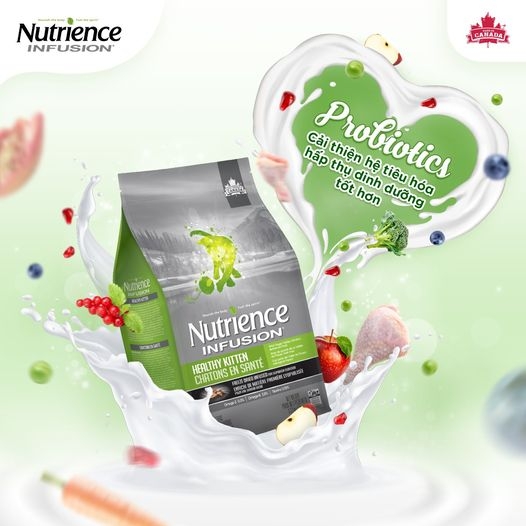 hat-kho-nutrience-infusion-for-kitten