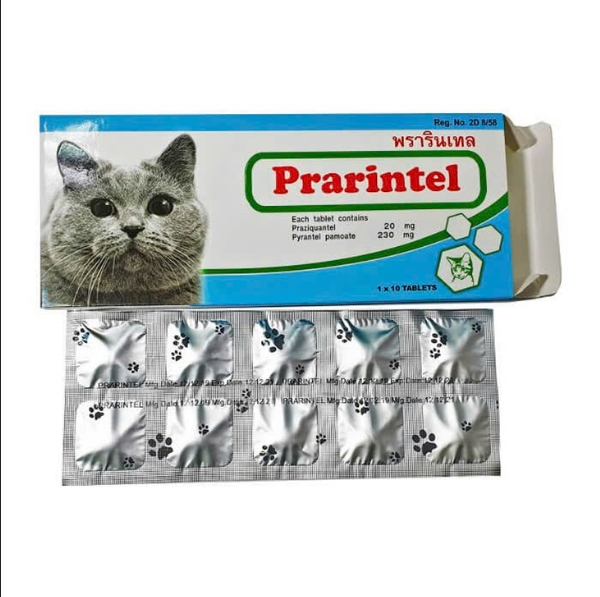 tay-giun-prarintel-cho-meo