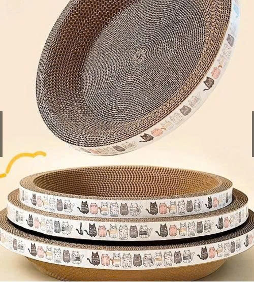 ban-cao-carton-tron
