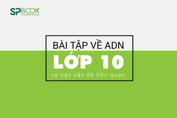 Các dạng bài tập về ADN lớp 10