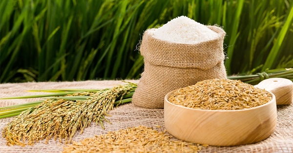 mách bạn mẹo sử dụng nồi cơm điện chính xác nhất