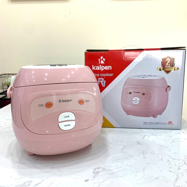co-nen-mua-noi-com-dien-mini-hay-khong