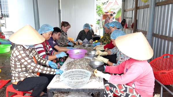 Nghề sản xuất Mắm tôm chua gia tăng thu nhập cho nhiều lao động tại địa phương.