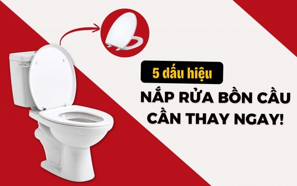 Khi Nào Cần Thay Nắp Rửa Bồn Cầu? 5 Dấu Hiệu Và Gợi Ý Mẫu Chất Lượng